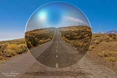 Alien Life I