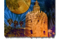 Moonlight