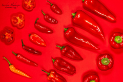 Paprika