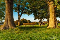 Bayerische Idylle