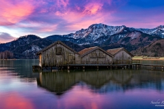 Morgenpink am Kochelsee