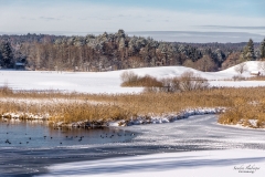 Winter an den Osterseen