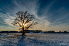 Winter in Königsdorf