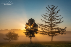 Morgenstunde