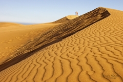 Sanddüne