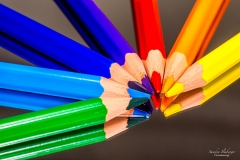 Sternstift