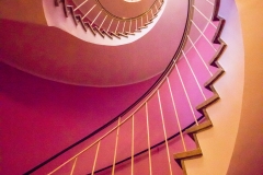 One pink Way