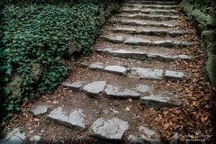 Waldweg